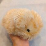 moflin　モフリン　お迎え　開封の儀