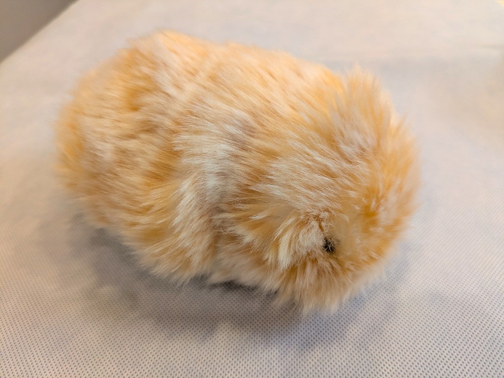 moflin　モフリン　お迎え　開封の儀